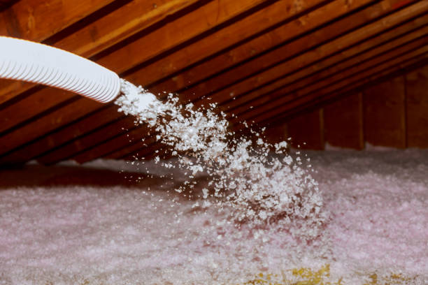 Types of Insulation We Offer in Ville Platte, LA