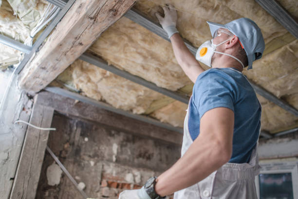 Best Spray Foam Insulation in Ville Ptte, LA