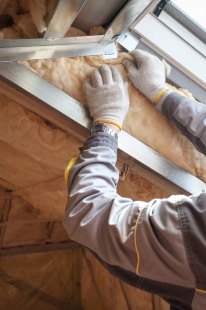 Types of Insulation We Offer in Ville Platte, LA