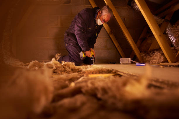 Best Insulation for Specific Applications in Ville Ptte, LA